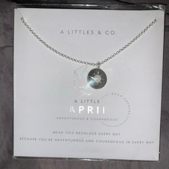 A Littles & Co A Little April Adventurous Silver Plated Birthstone Necklace NWT - Picture 2 of 8
